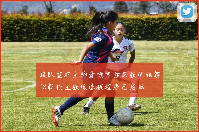 狼队宣布主帅爱德华兹及教练组解职新任主教练选拔程序已启动