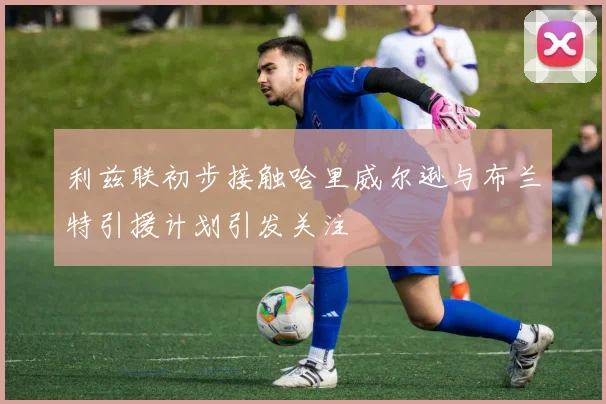 利兹联初步接触哈里威尔逊与布兰特引援计划引发关注
