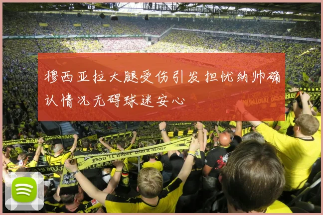 穆西亚拉大腿受伤引发担忧纳帅确认情况无碍球迷安心